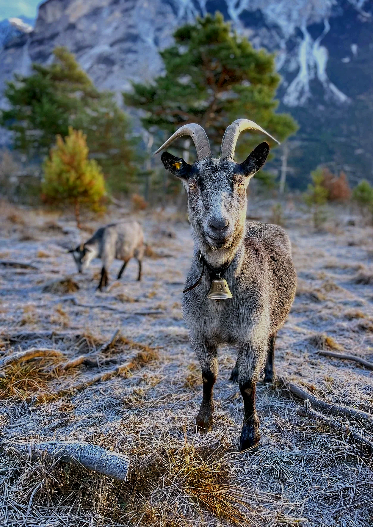  Photo: Maya Brehm, licensed under CC BY-NC-ND 4.0. 