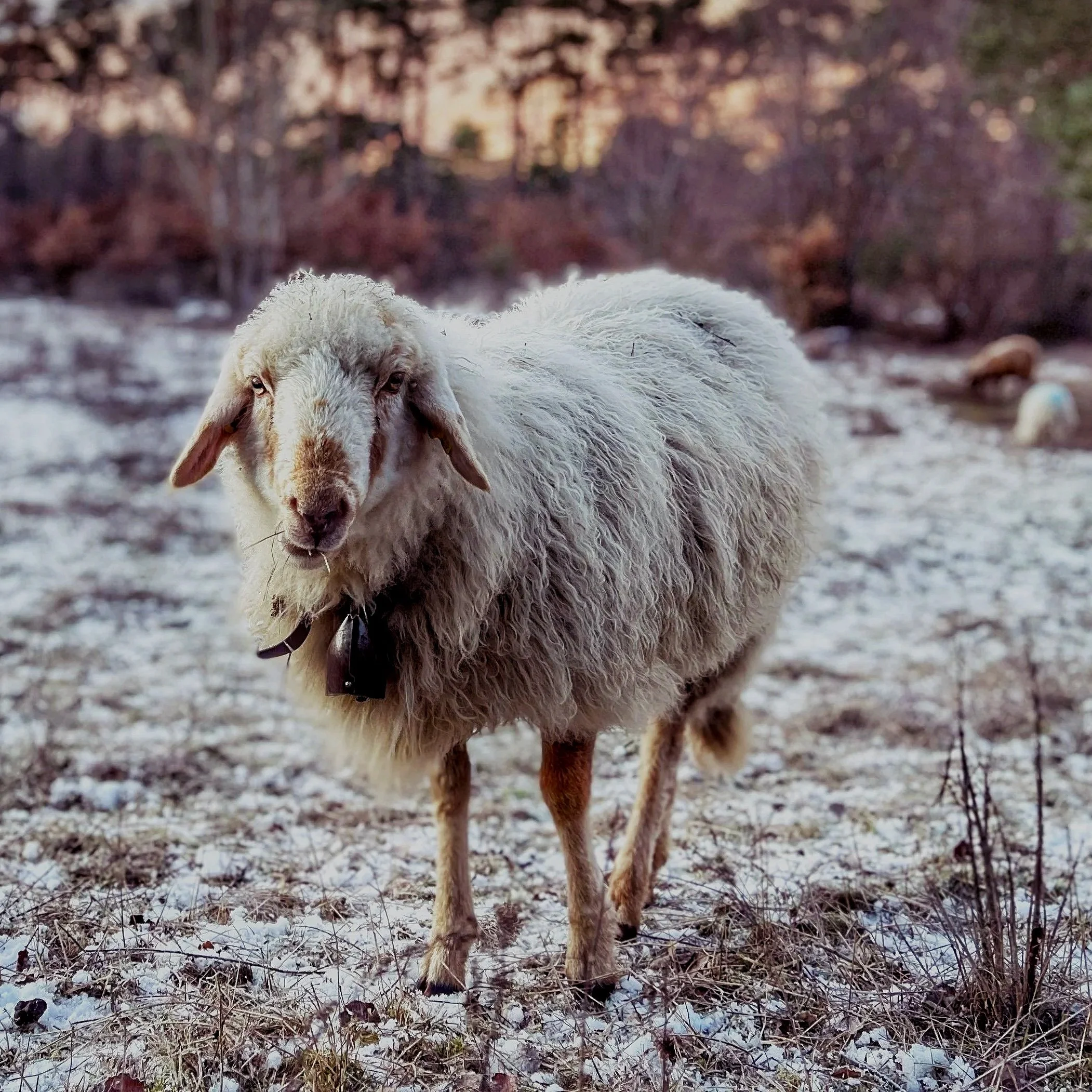  Photo: Maya Brehm, licensed under CC BY-NC-ND 4.0. 