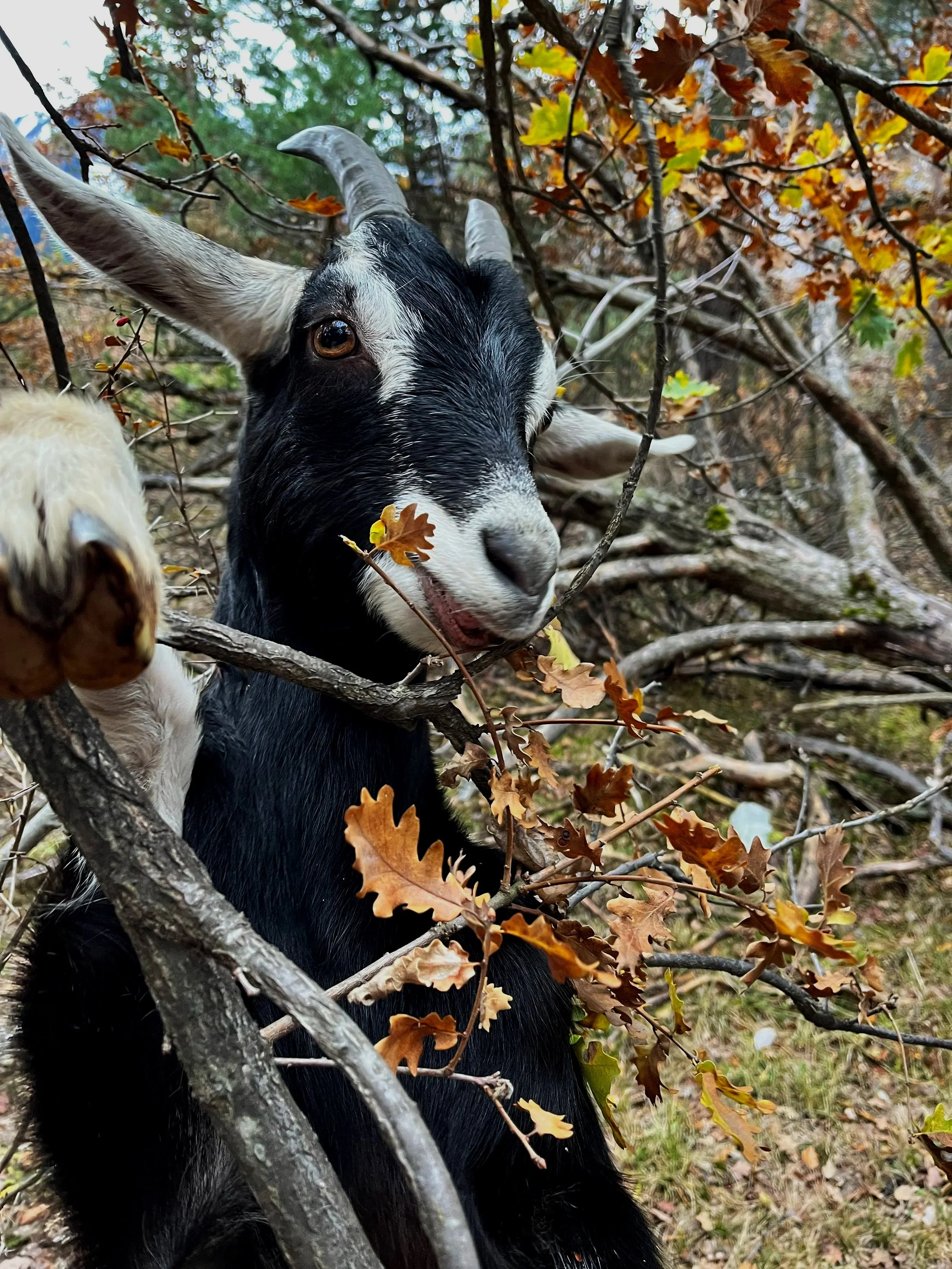  Photo: Maya Brehm, licensed under CC BY-NC-ND 4.0. 