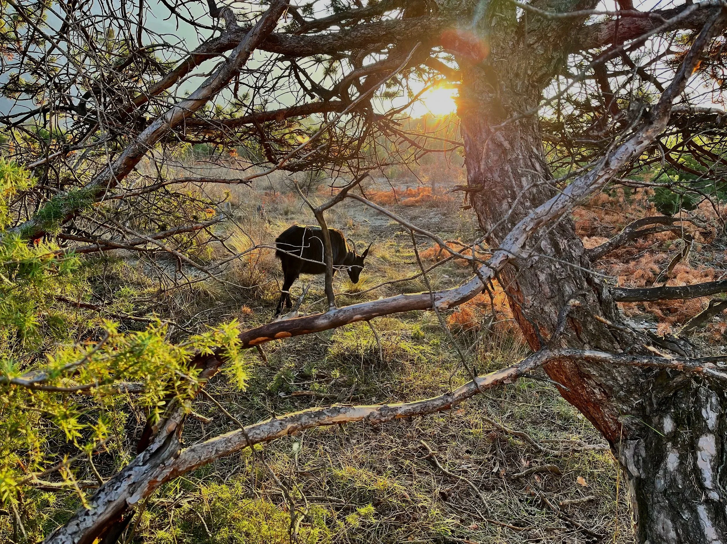  Photo: Maya Brehm, licensed under CC BY-NC-ND 4.0. 