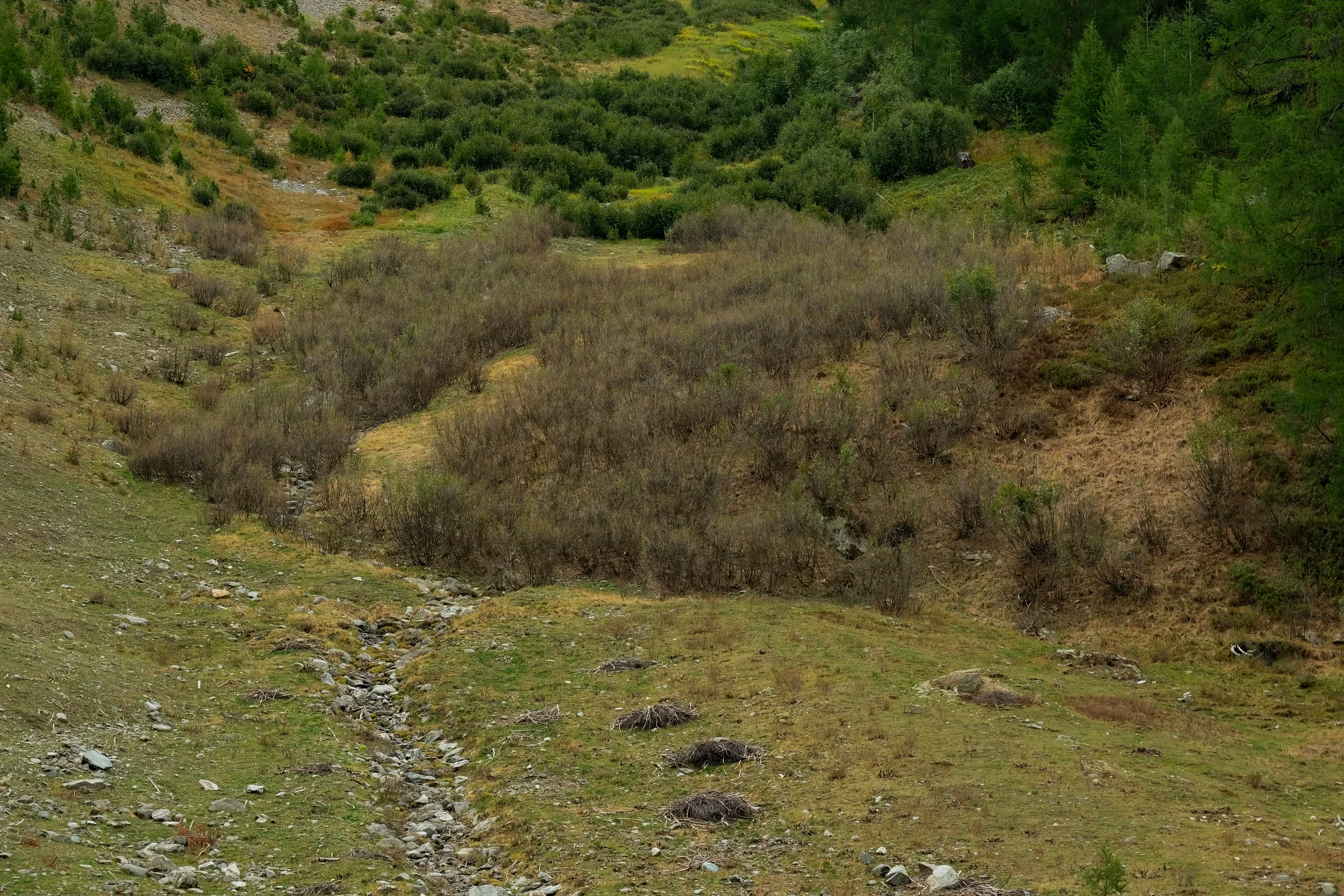 Sichtbarer Erfolg (Turtmanntal, Sept. 2019)