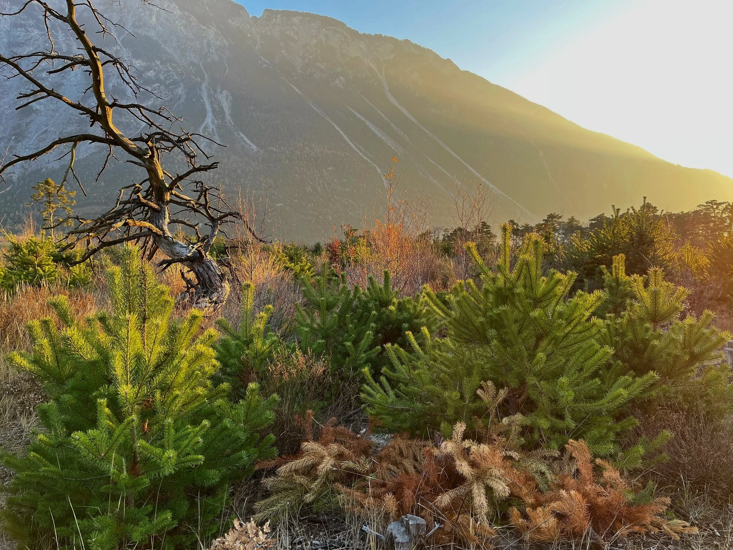 Herbst im Rottensand