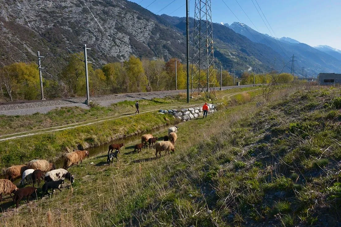 20210414_Faunus_Puttiergraben_Leuk+Steppe-5.jpg