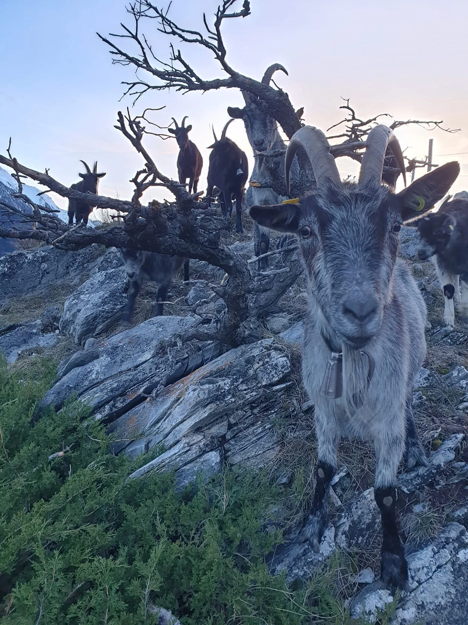 Besuchstag 15. Februar
