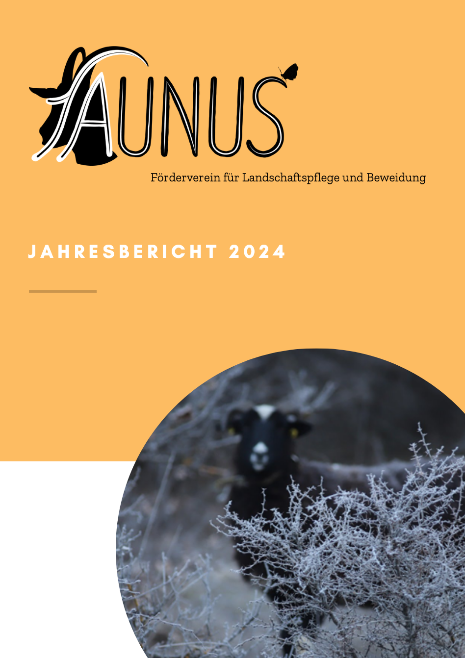Jahresbericht 2024 (deutsch)