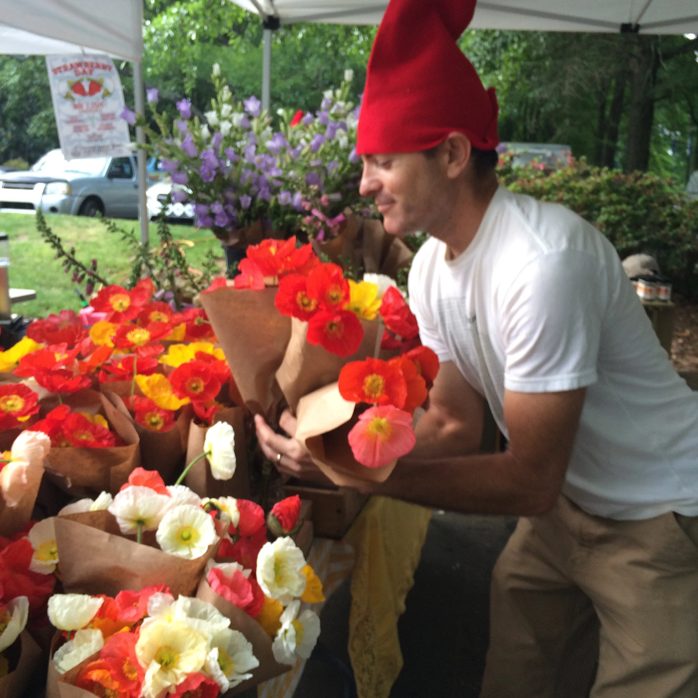Shrimp+Fruit+Veggies+Plants and GNOMES April 29