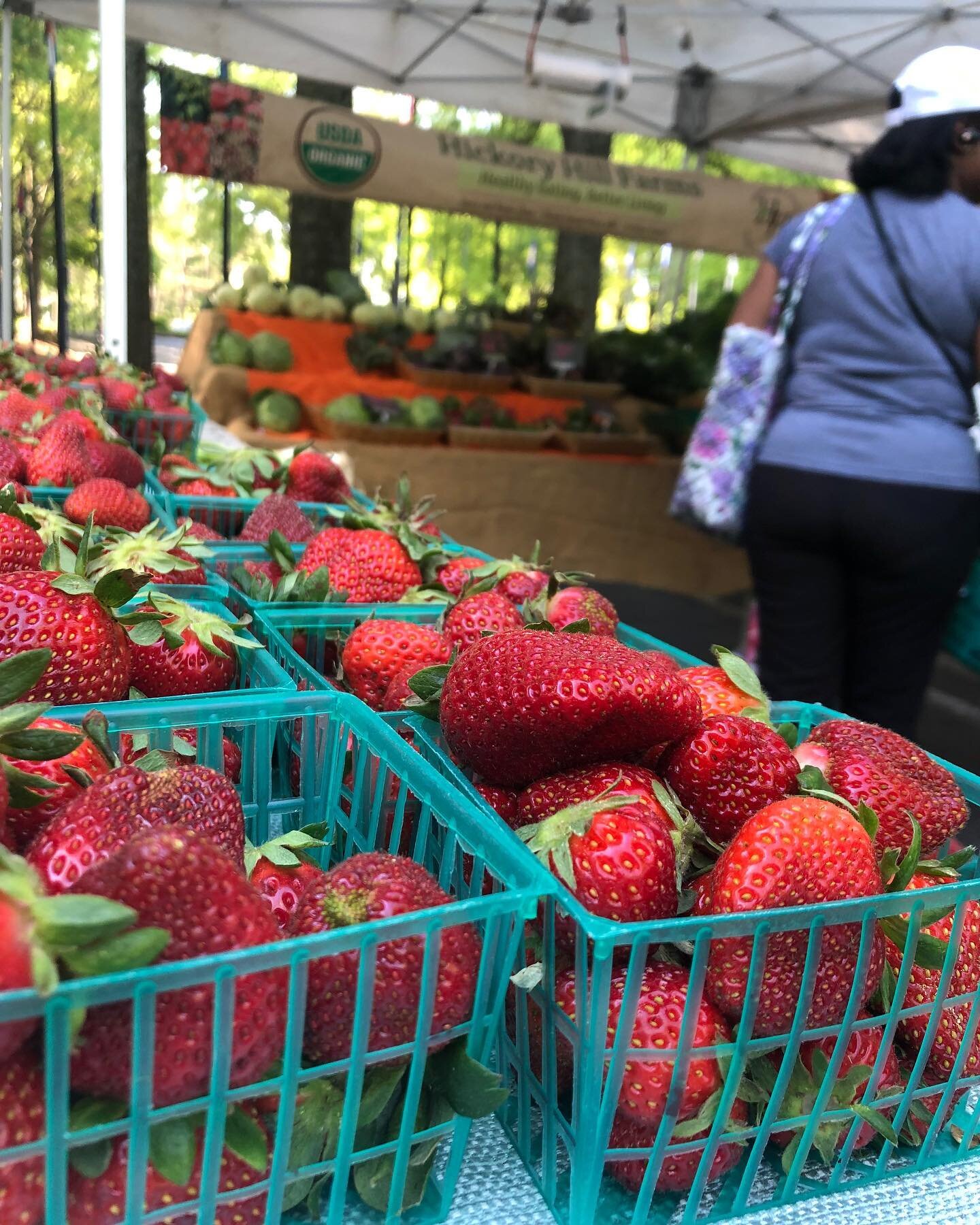 Farmers Market season brings April Showers and Family Meals! - Shop your local Farmers Market Every Saturday, Rain or Shine!
April 8, 2023 8:30am-Noon
Eat Fresh and Local every week with Freedom Farmers Market at the Carter Center
 
See who&rsquo;s a