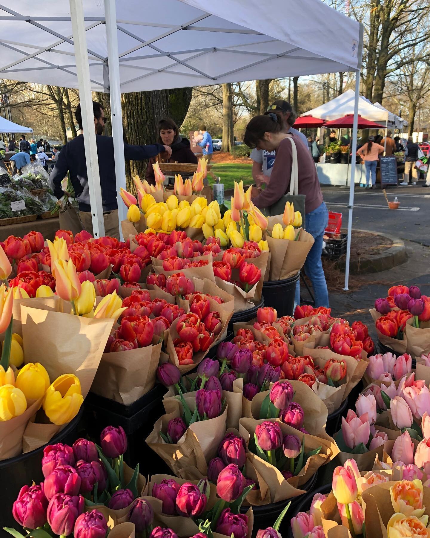 Springtime Funtimes Shop your local Farmers Market Every Saturday!
March 25, 2023 8:30am-Noon
Eat Fresh and Local every week with Freedom Farmers Market at the Carter Center
See who&rsquo;s at market this Saturday:
 
See who&rsquo;s at market this Sa