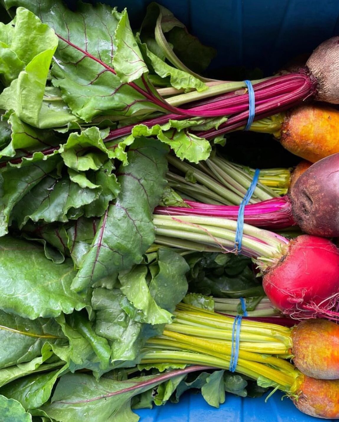 Shop with Freedom for your local farm fresh foods! 
March 18, 2023, we can&rsquo;t get enough of this Local Love! OPEN every Saturday 8:30am-Noon
Eat Fresh and Local every week with Freedom Farmers Market at the Carter Center
 
See who&rsquo;s at mar