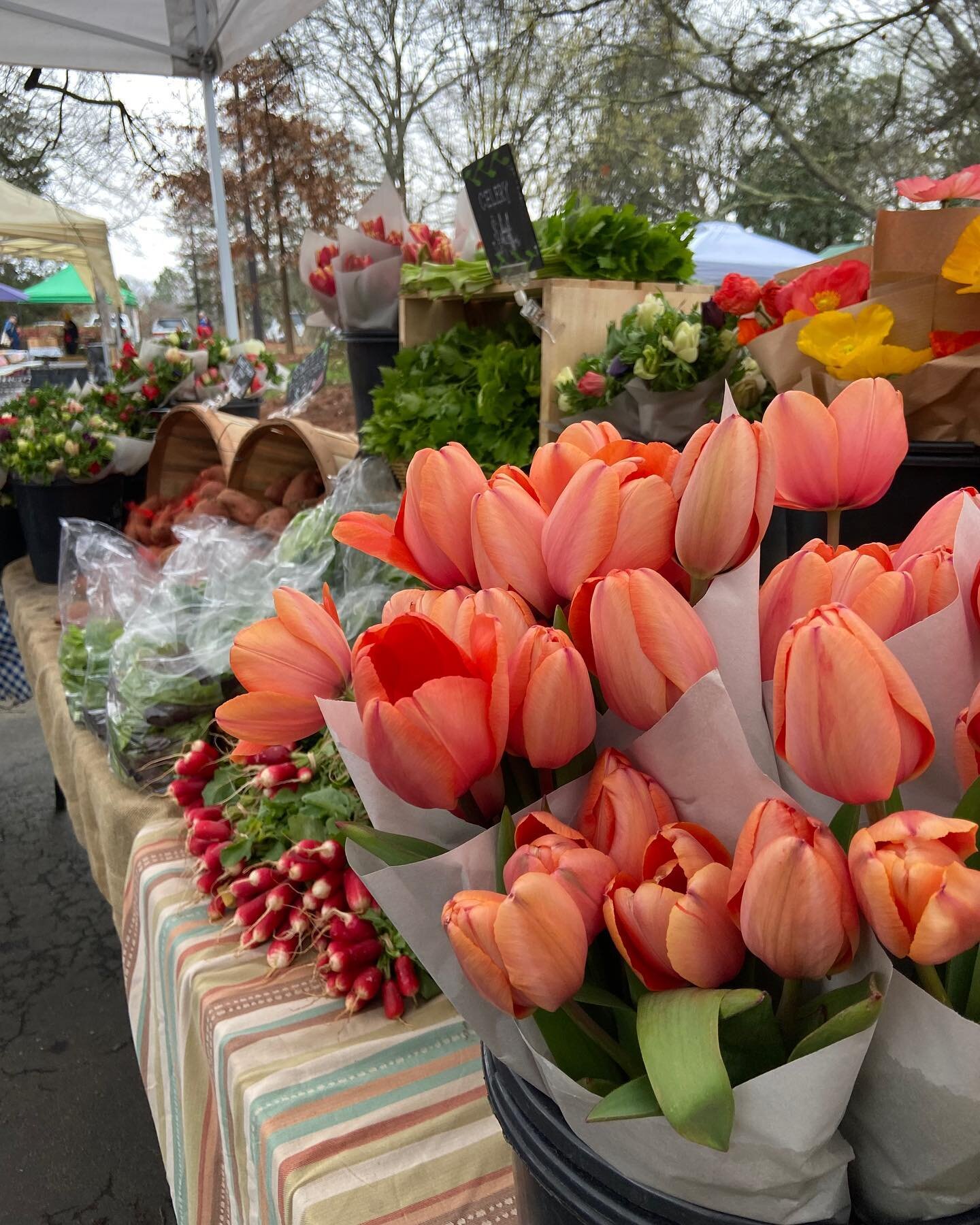 MAIN MARKET SEASON IS HERE! 
Shop with Freedom March 11, 2023, we can&rsquo;t get enough of this Local Love! OPEN every Saturday 8:30am-Noon
Eat Fresh and Local every week with Freedom Farmers Market at the Carter Center
See who&rsquo;s at market thi