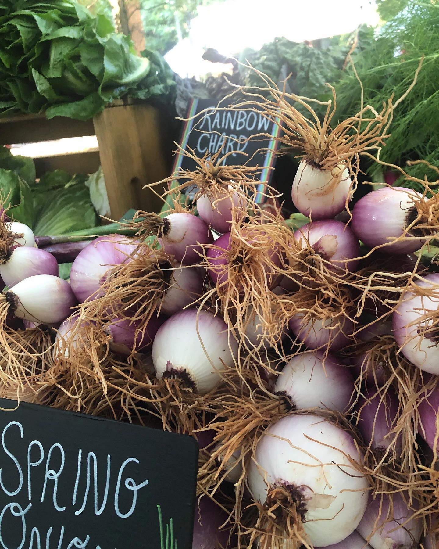 Farmers Market Season is Fantastic&hellip; Let&rsquo;s Eat LOCAL! 
Shop Freedom Farmers Market Every Saturday 8:30am-Noon
May 20th is loaded with all your local food needs.
See who&rsquo;s at market this Saturday:
 
POP UP VENDOR:
Capt Don&rsquo;s Se