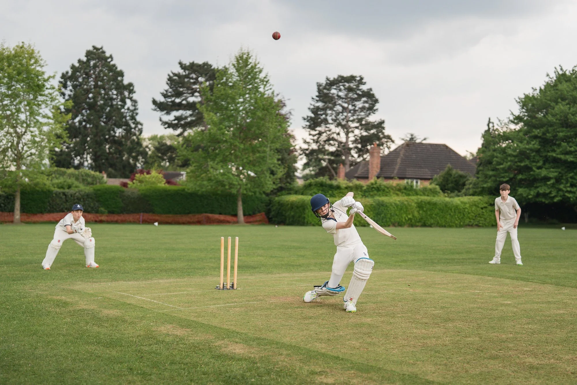 cricket-211_LowRes.jpg