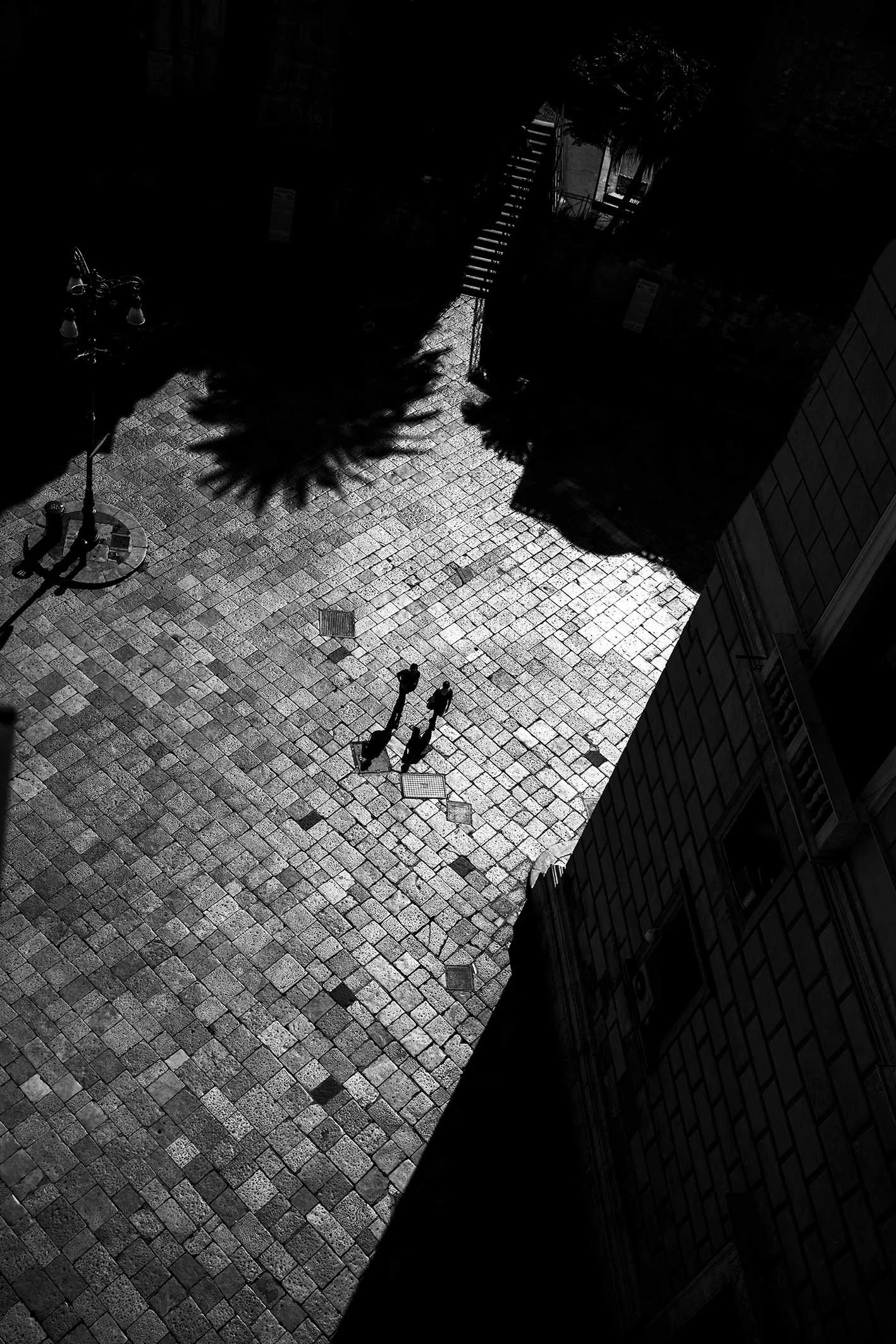 DSC00287-copy.jpg