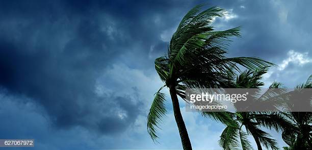 Shine On & Shining On