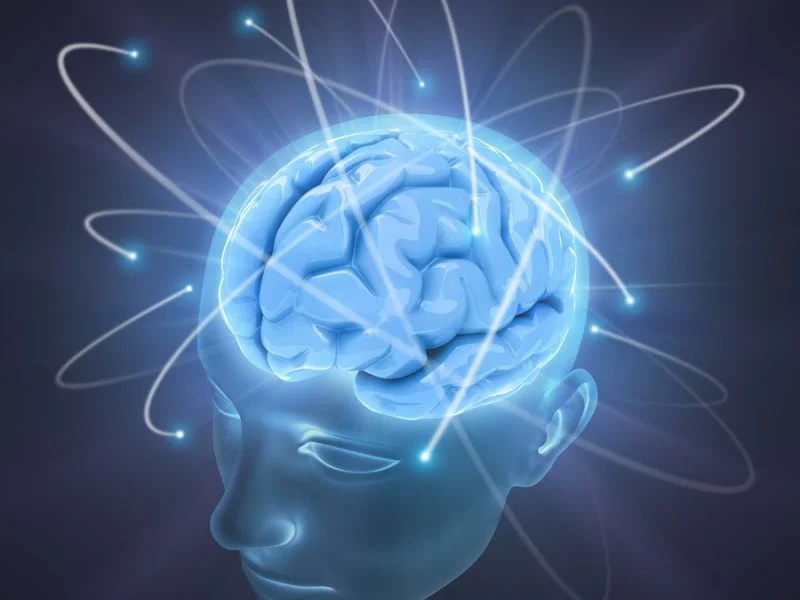 Peak Brain Performance Highlands.jpg