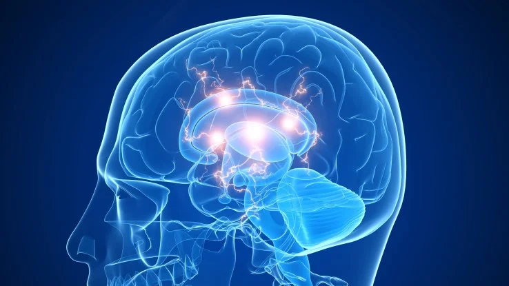 Peak Brain Performance Sea Bright.jpg