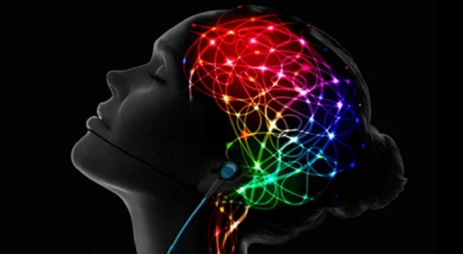 Peak Brain Performance Union Beach.jpg