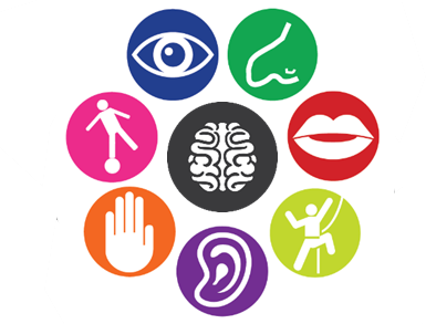 Sensory Motor Integration Allenhurst.png