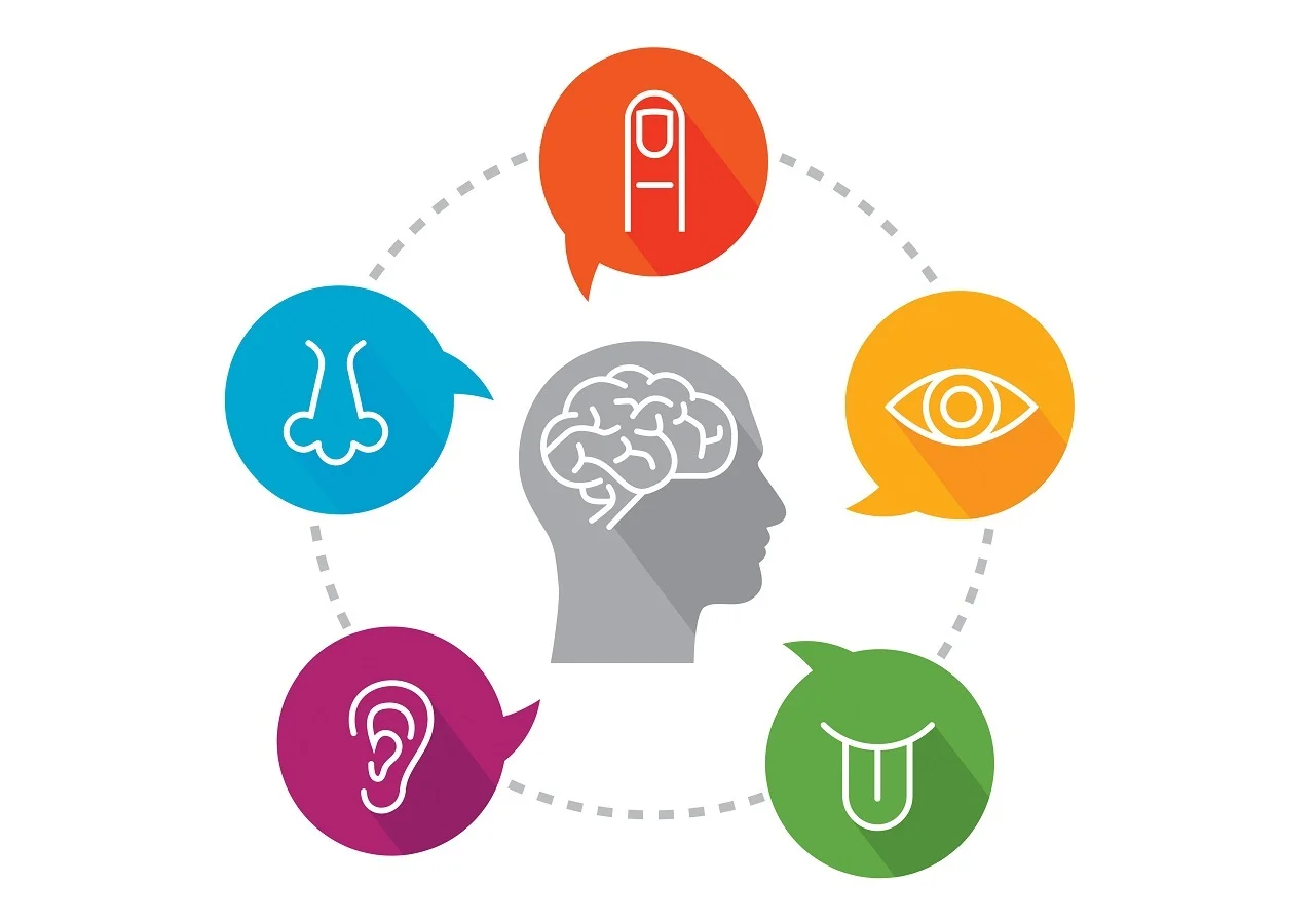 Sensory Motor Integration Howell Township.jpg