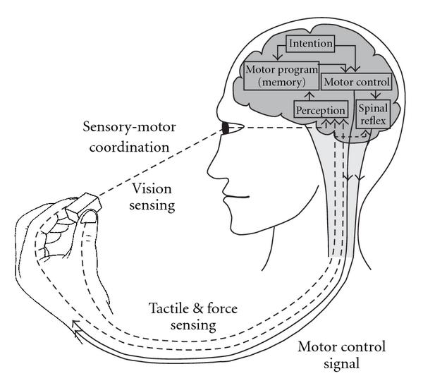 Sensory Motor Integration Sea Bright.jpg