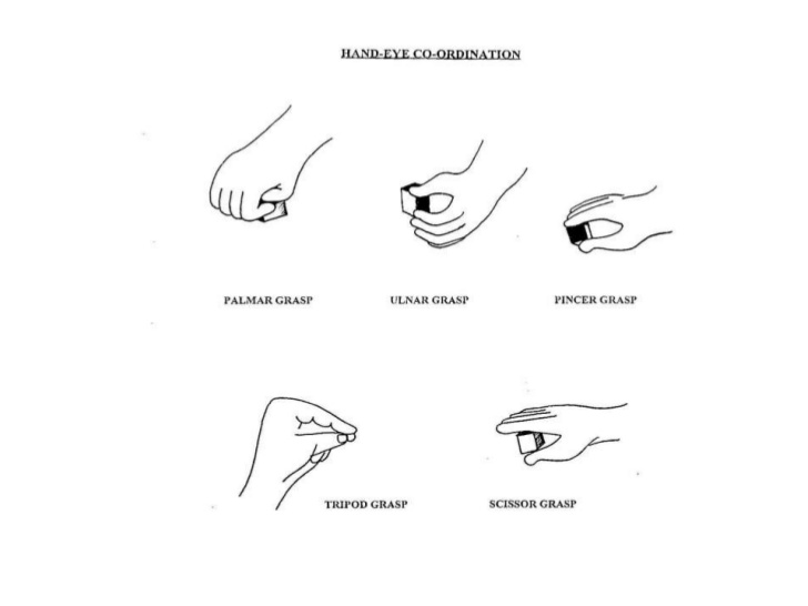 Sensory Motor Integration Spring Lake.jpg