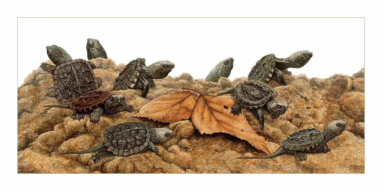 One Inch Border small.jpg