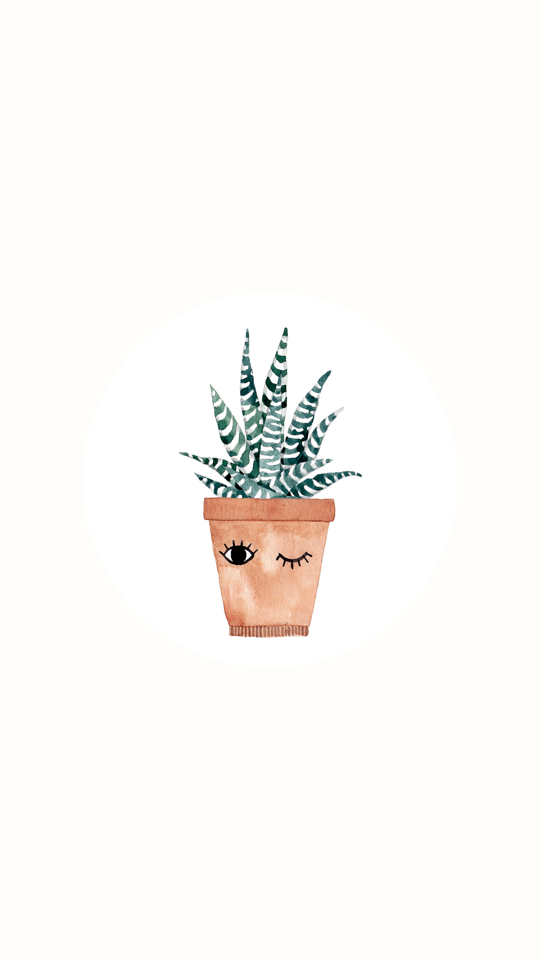 Aloe Vera Plant.jpg