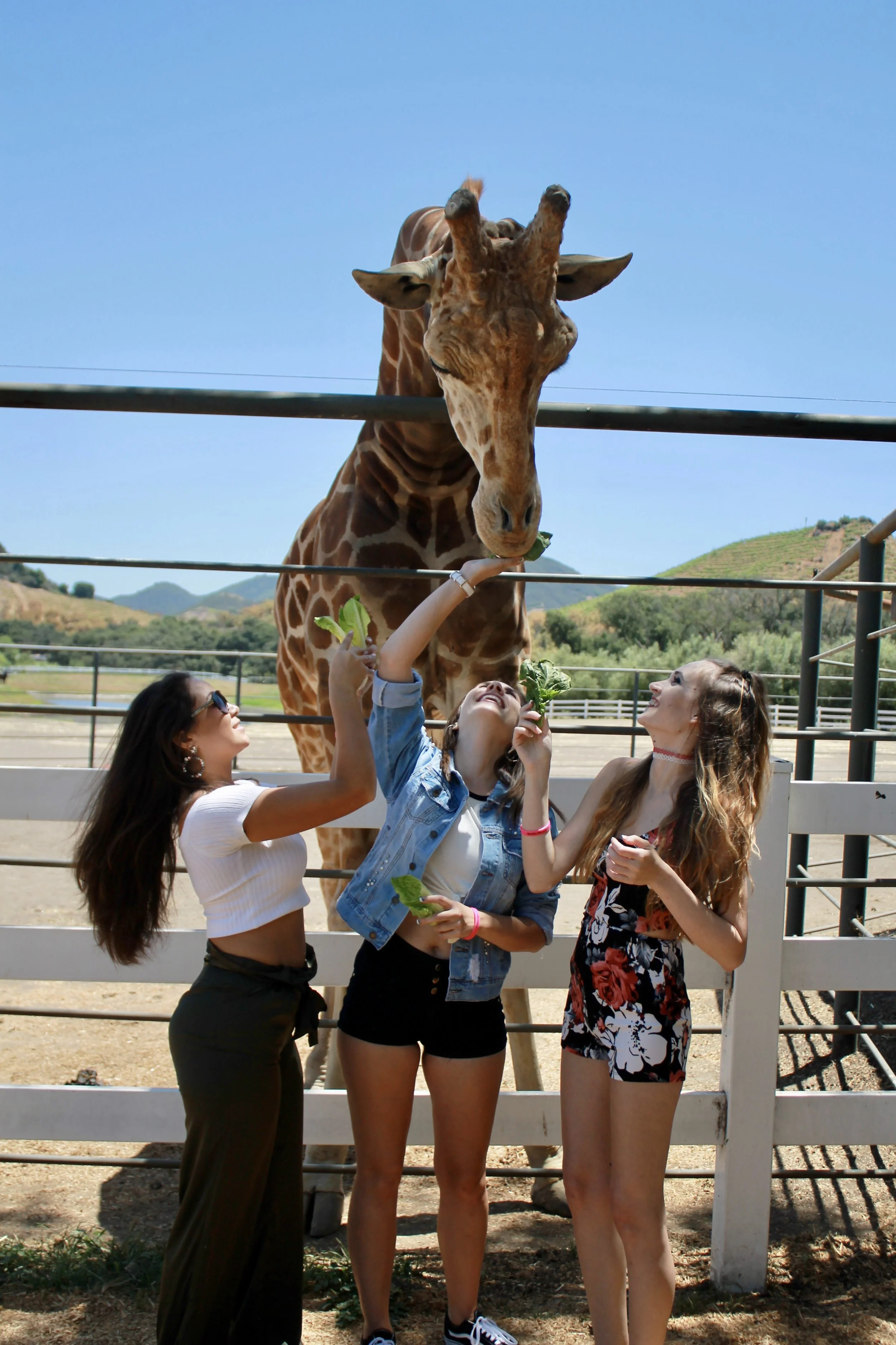 Beauty in Malibu | Wine Safari Tour & The Beach 