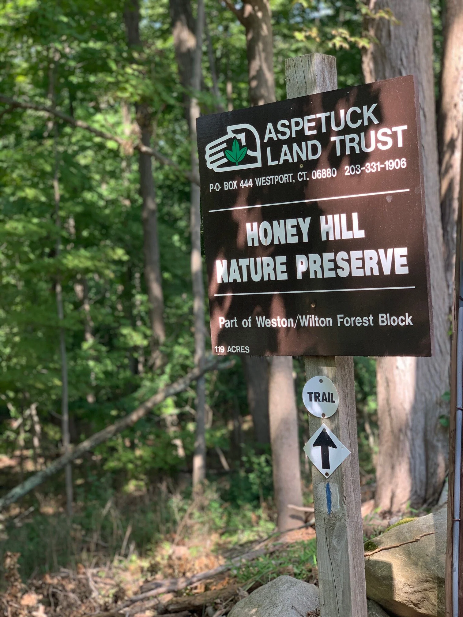 HONEY HILL — Judy Michaelis Group site