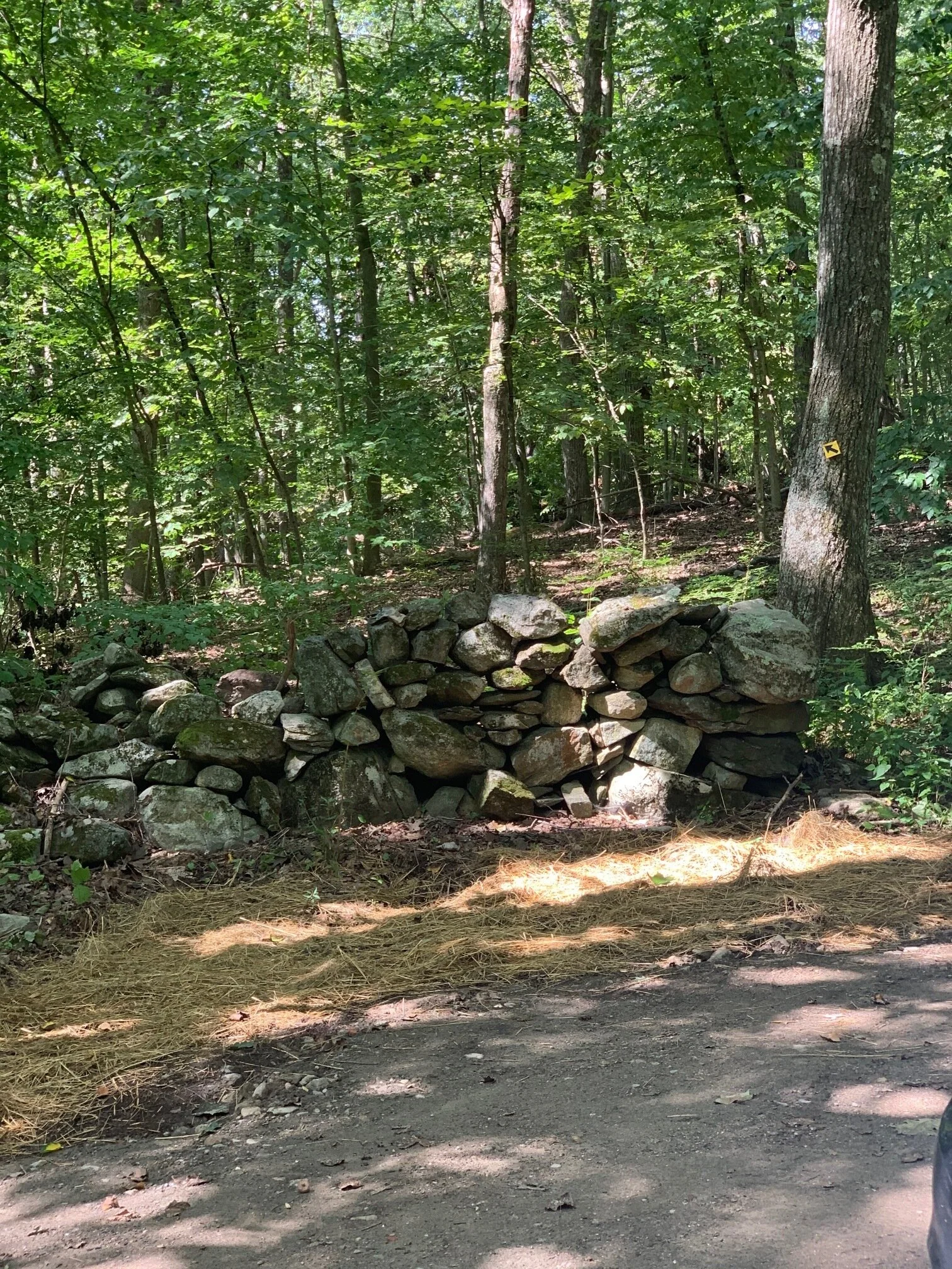 HONEY HILL — Judy Michaelis Group site