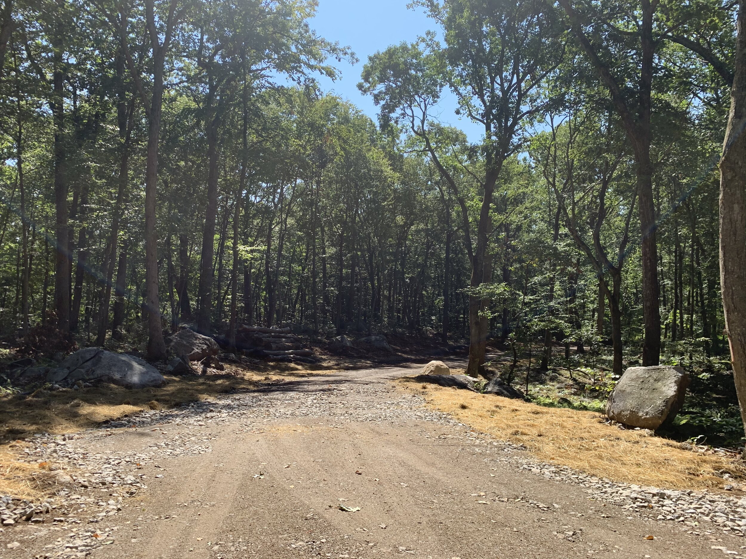 HONEY HILL — Judy Michaelis Group site