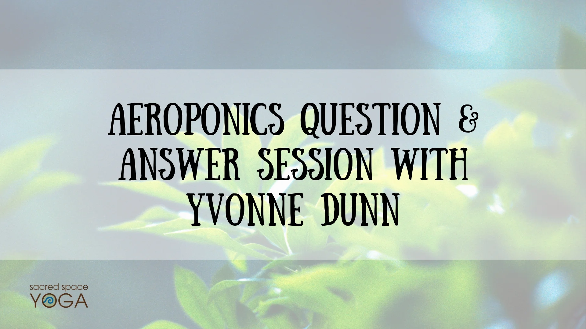 SSY Aeroponics Question & Answer Session With Yvonne Dunn FB Event Cover 9.20.19 .jpg