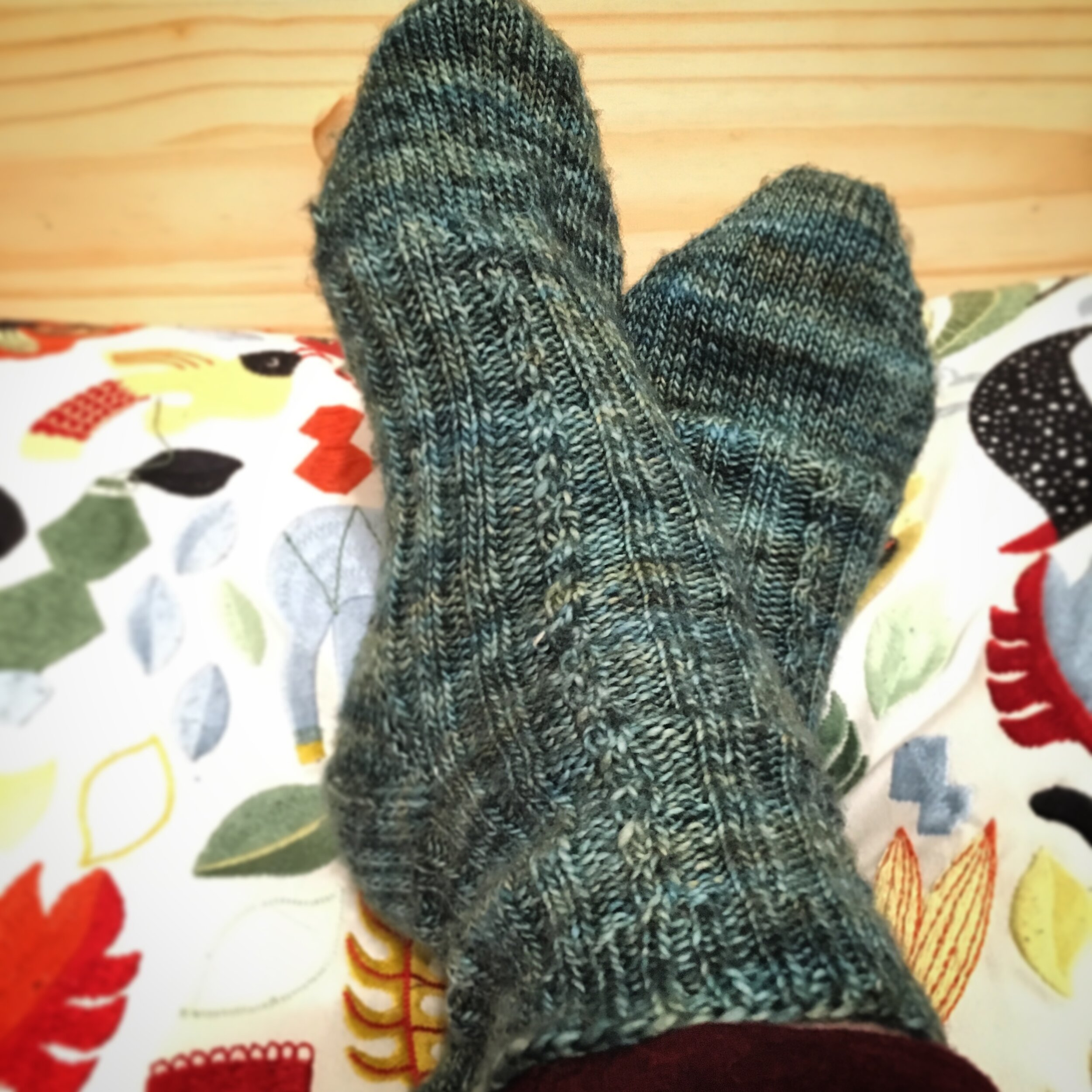 Socks, 2016