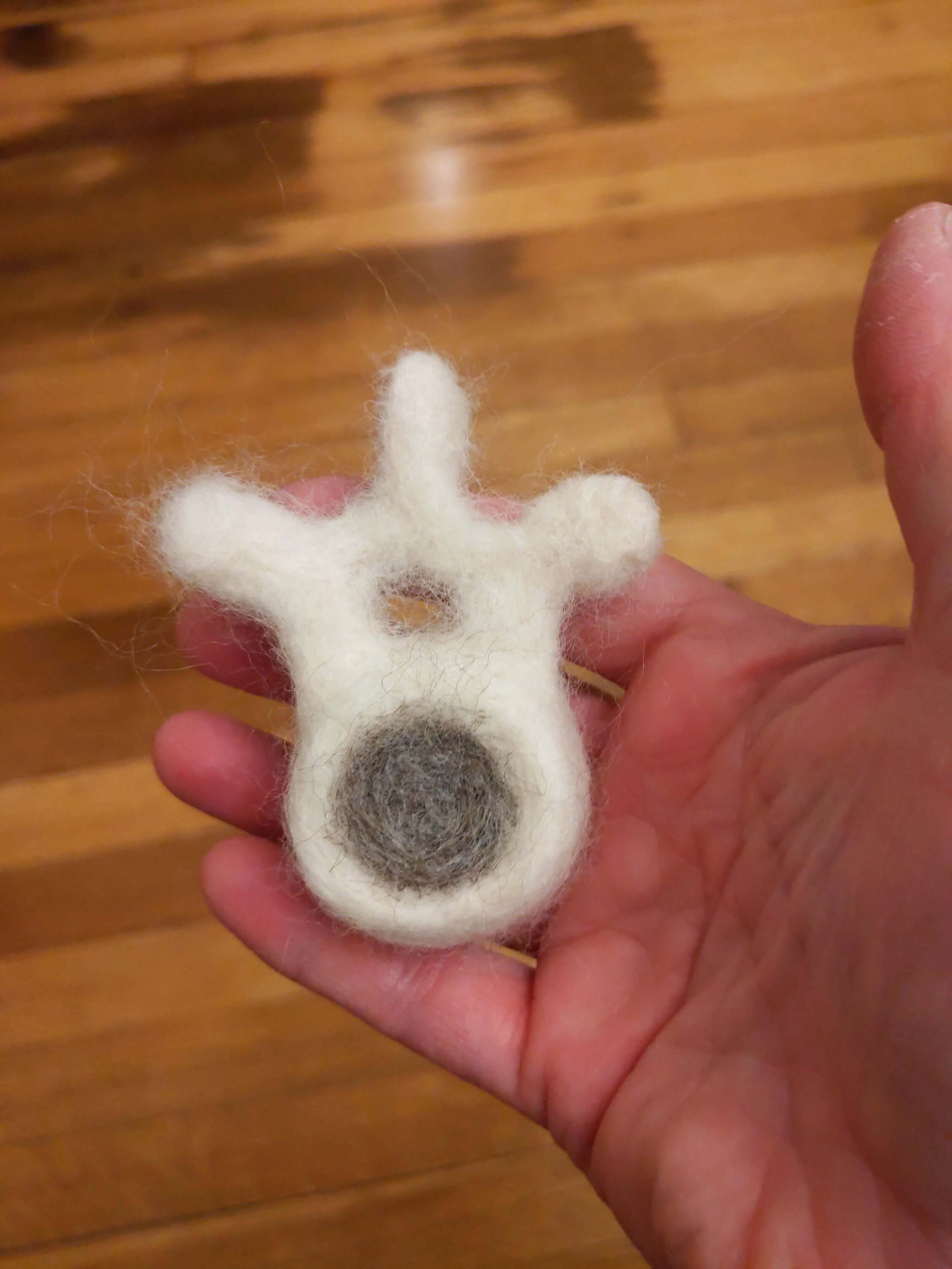 Vertebral, Felted Vertebra, 2019