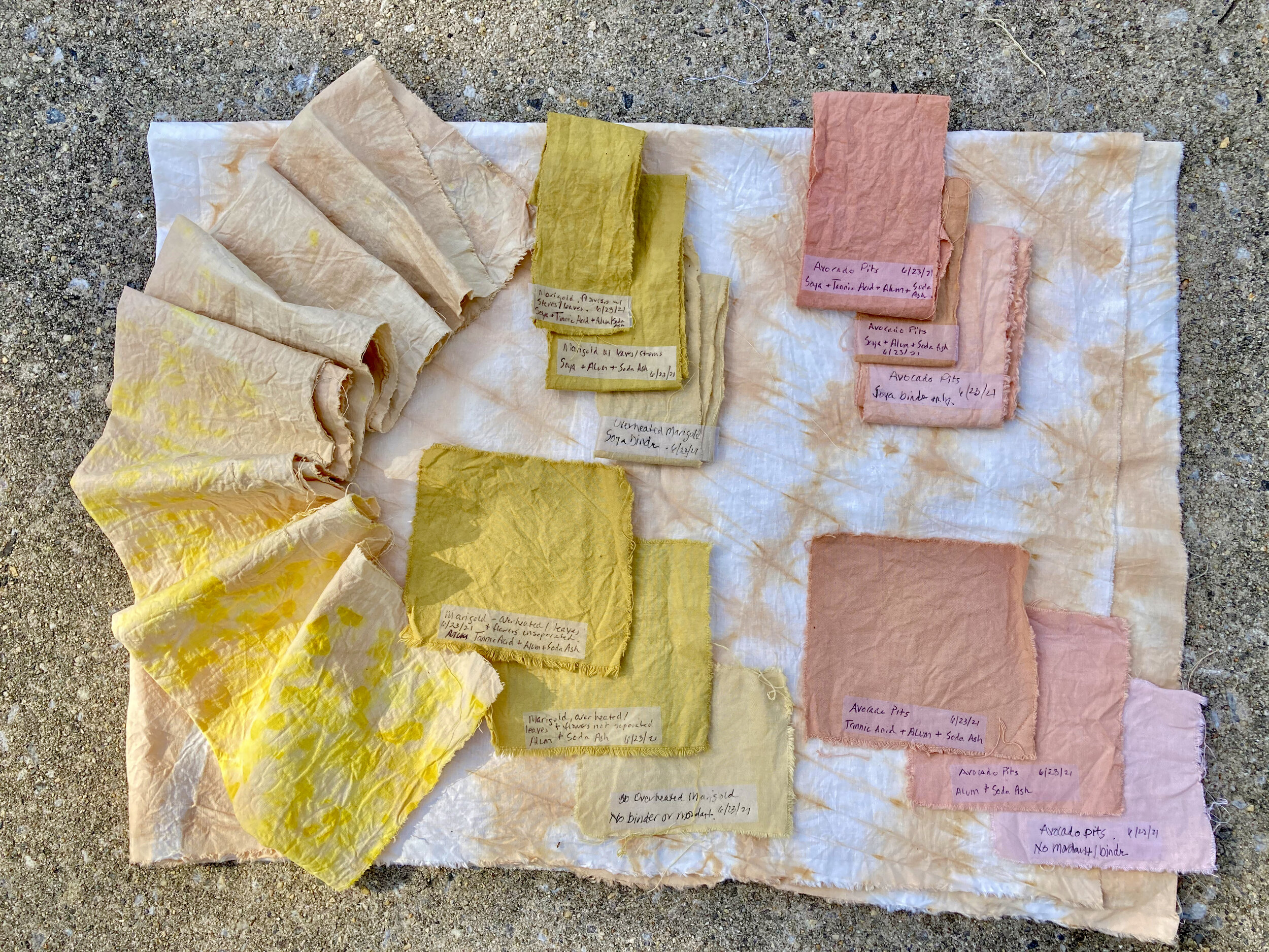 Marigold and Avocado Dye Mordanting Experiment 1 - 6/23, 6/24, 2021
