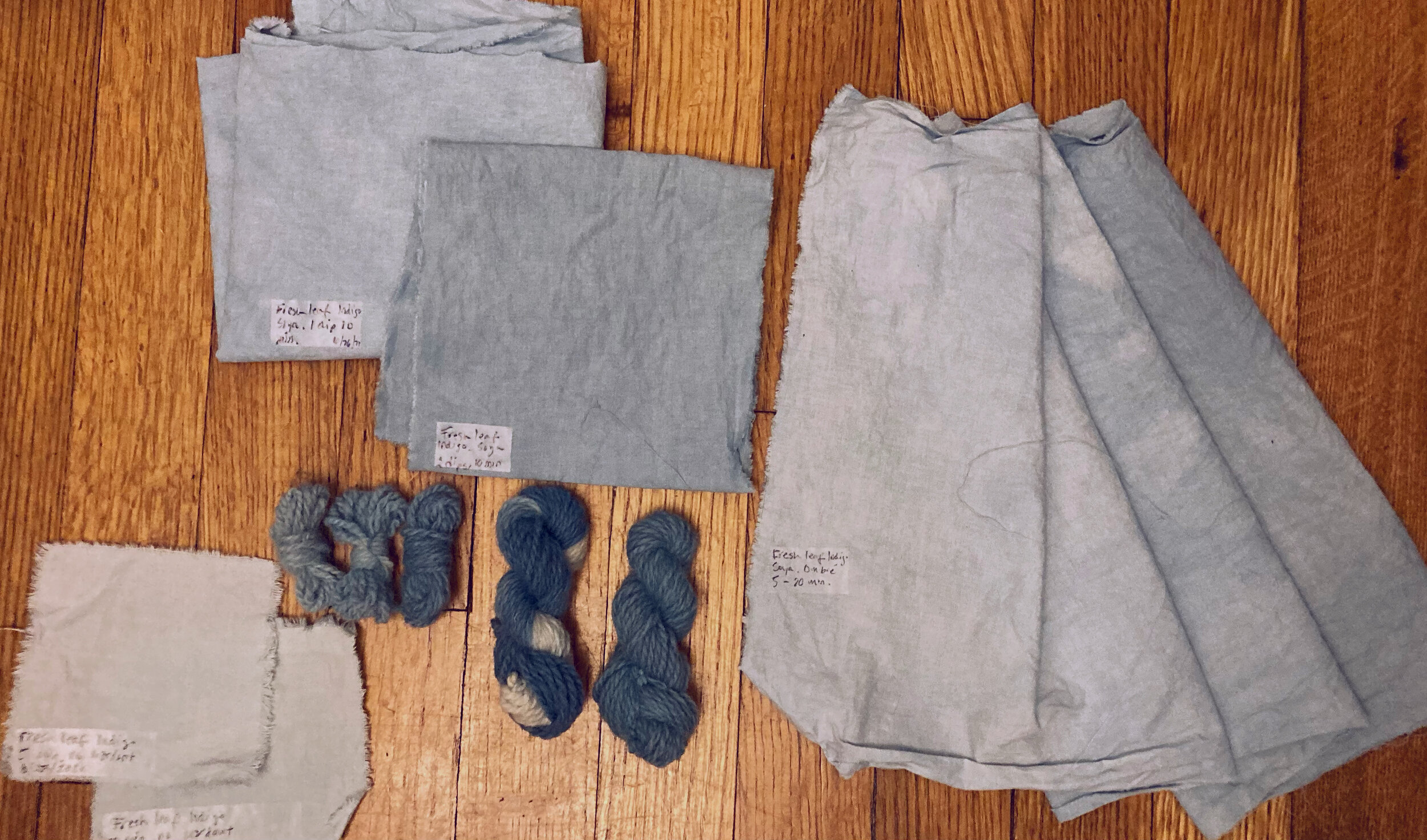 Fresh Indigo Dyeing, June 2021