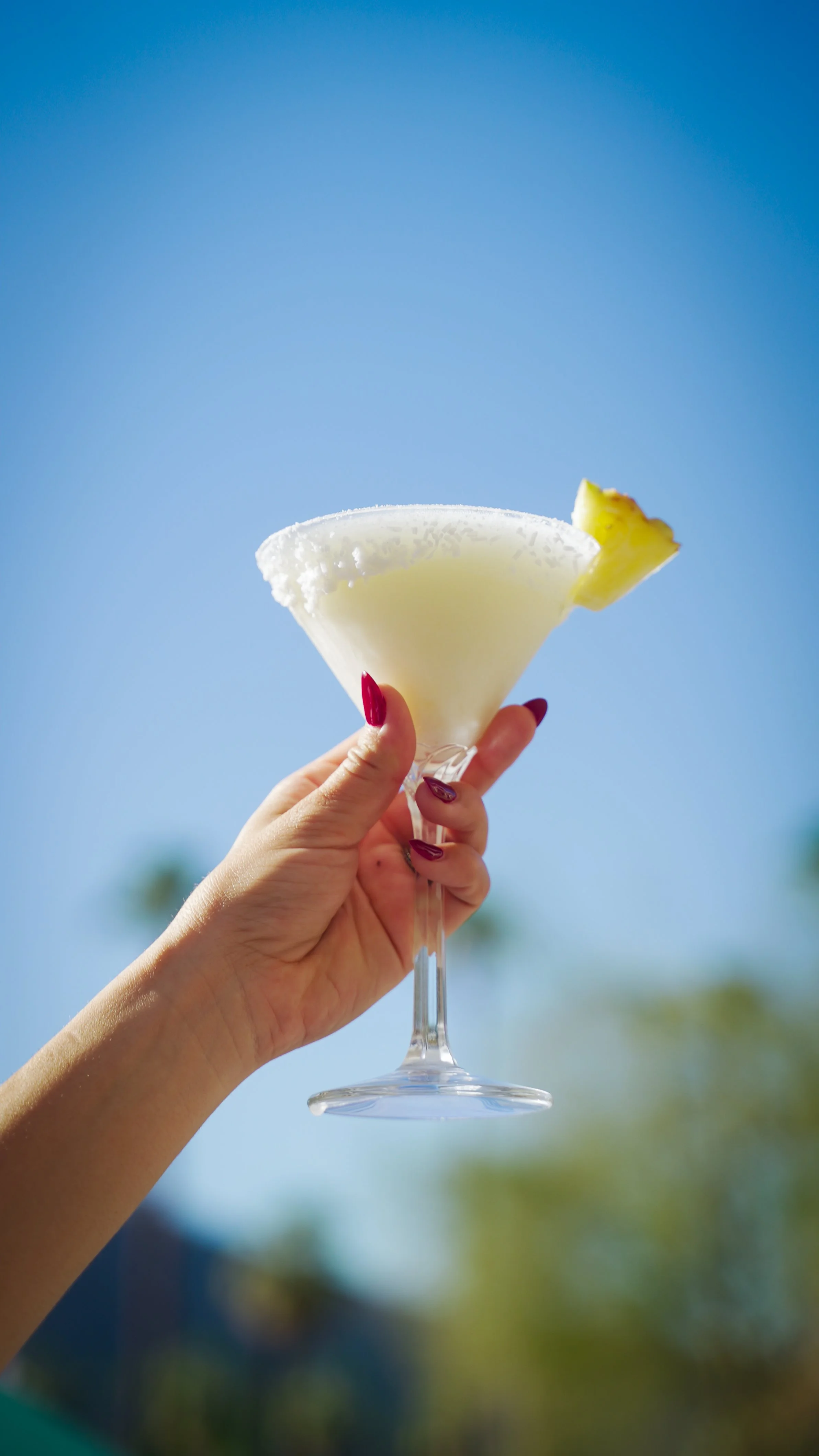 ELIAS SELECTS-150.JPG