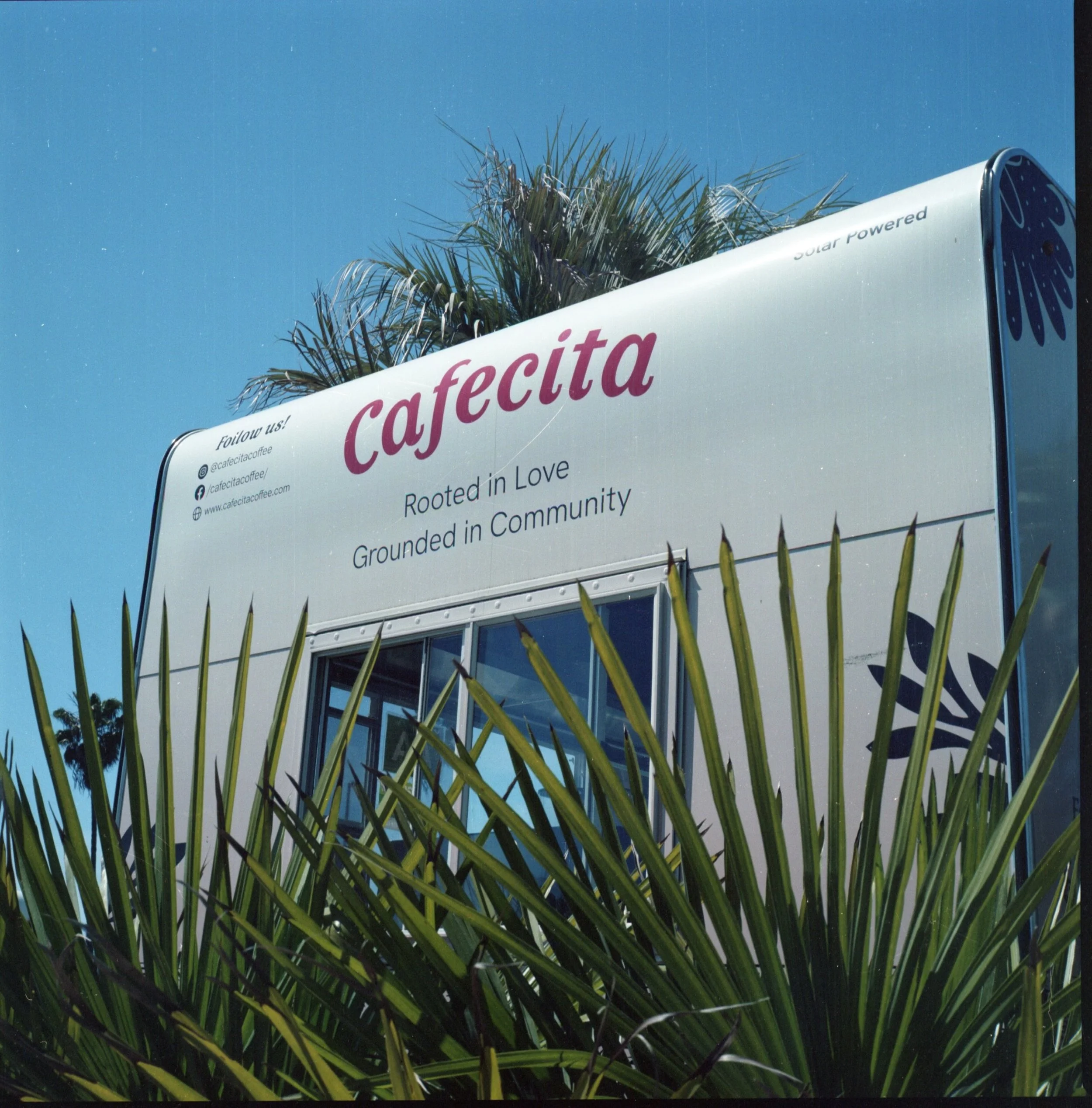 Kodak Portra 160_LA_11:24_02.JPG