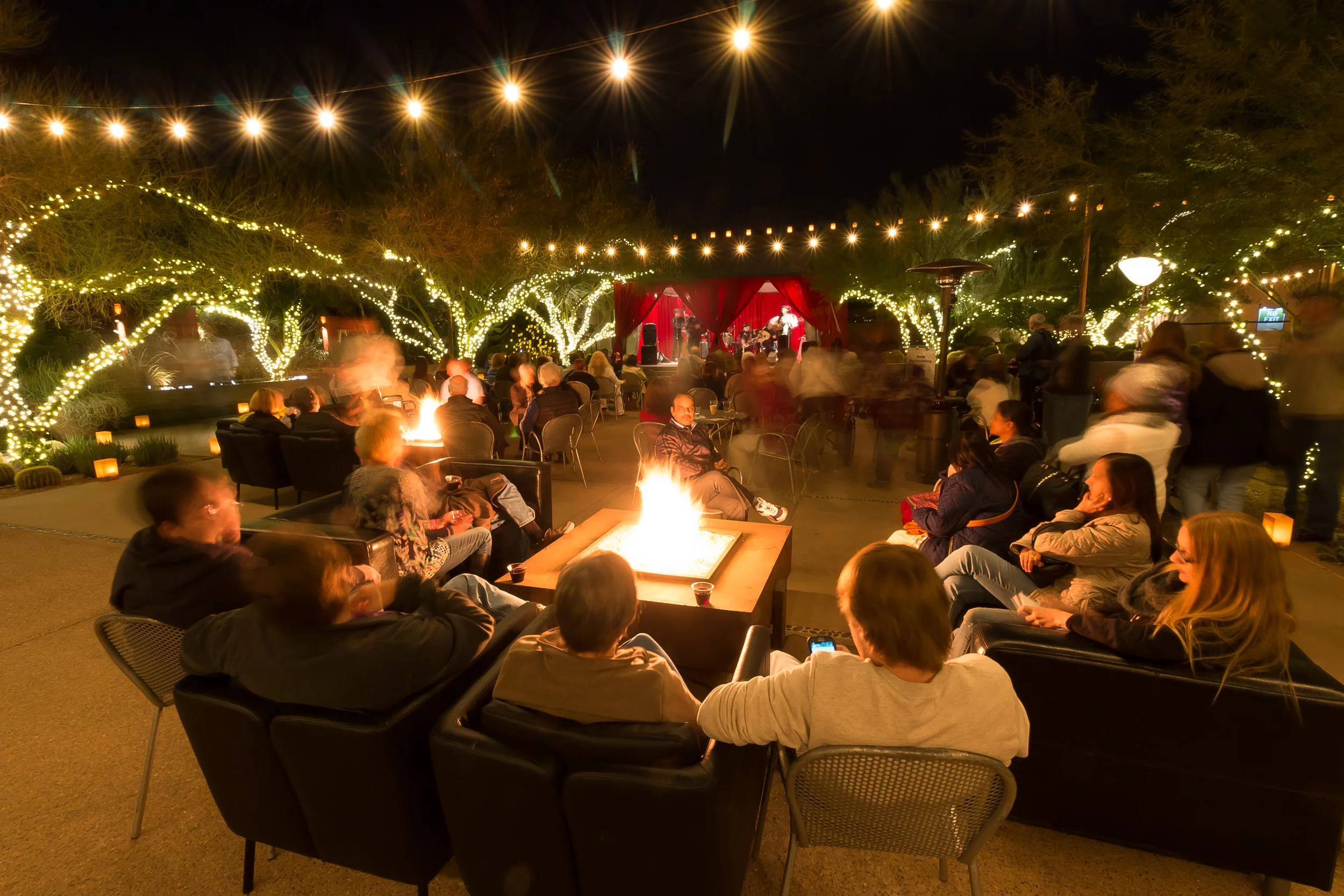 Las Noches de las Luminarias - 2014 by Desert Botanical Garden.jpg