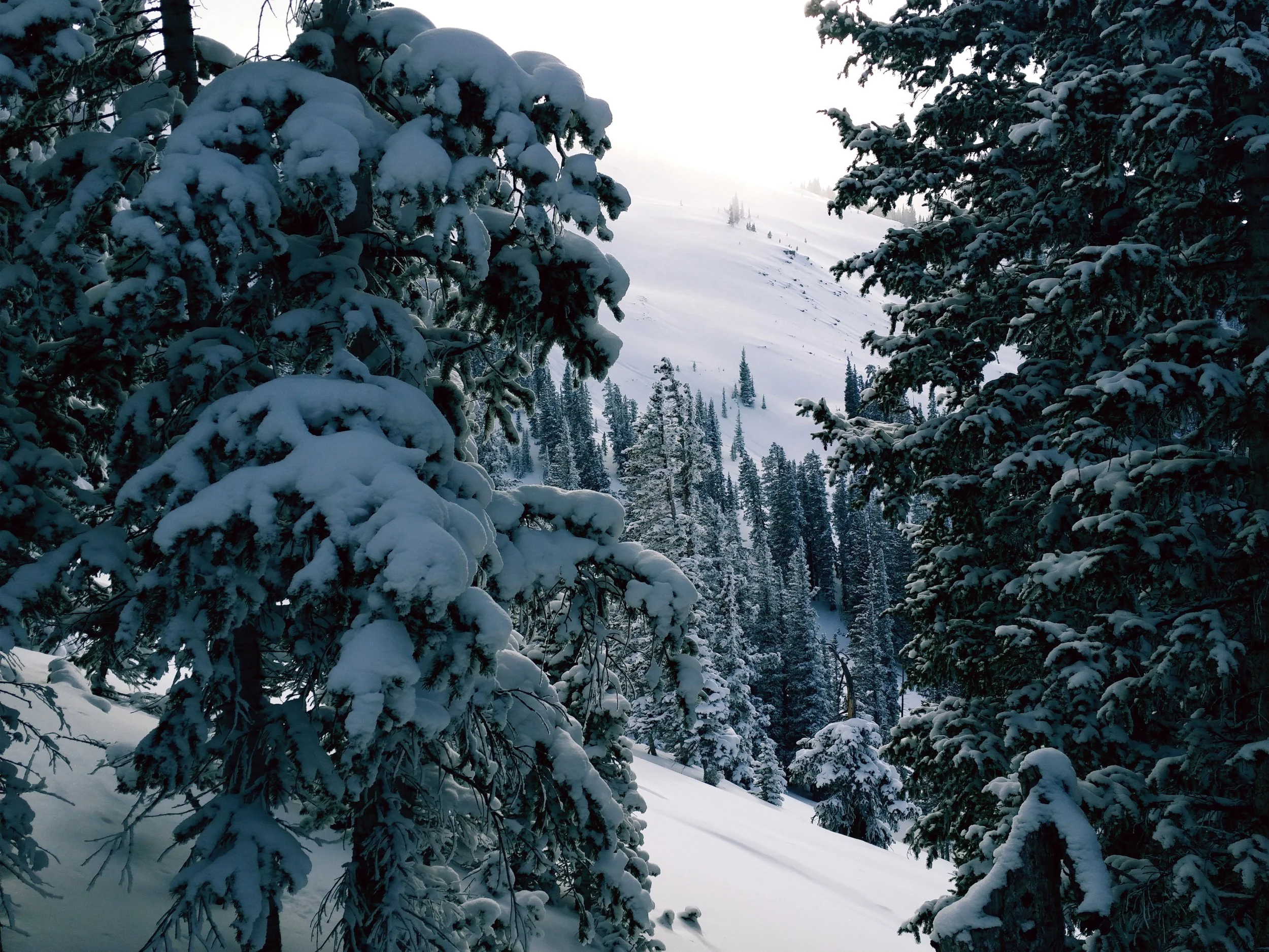 About Stan Gale — Rocky Mountain Ski & Snow Sports Consulting