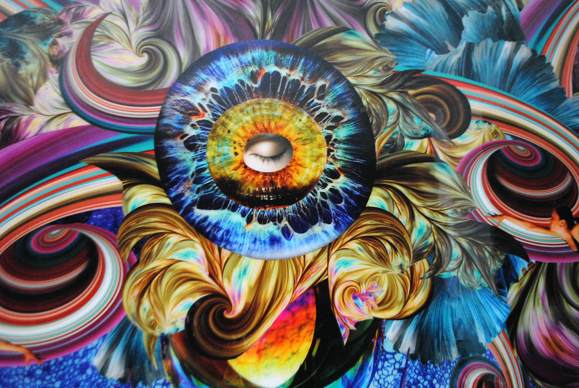 ShaktiDetail1_CLuciano.jpg