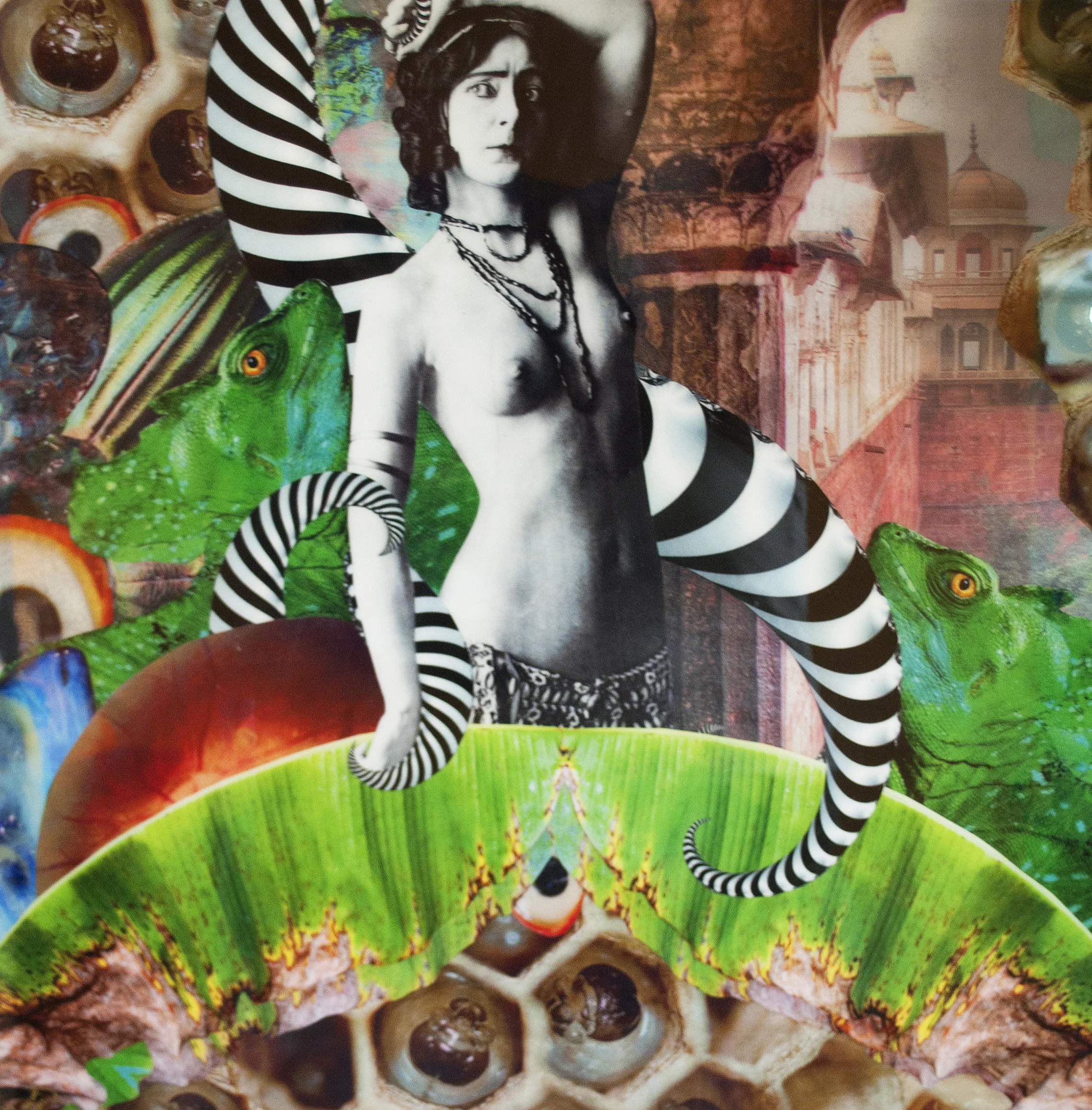 Reptilian Brain