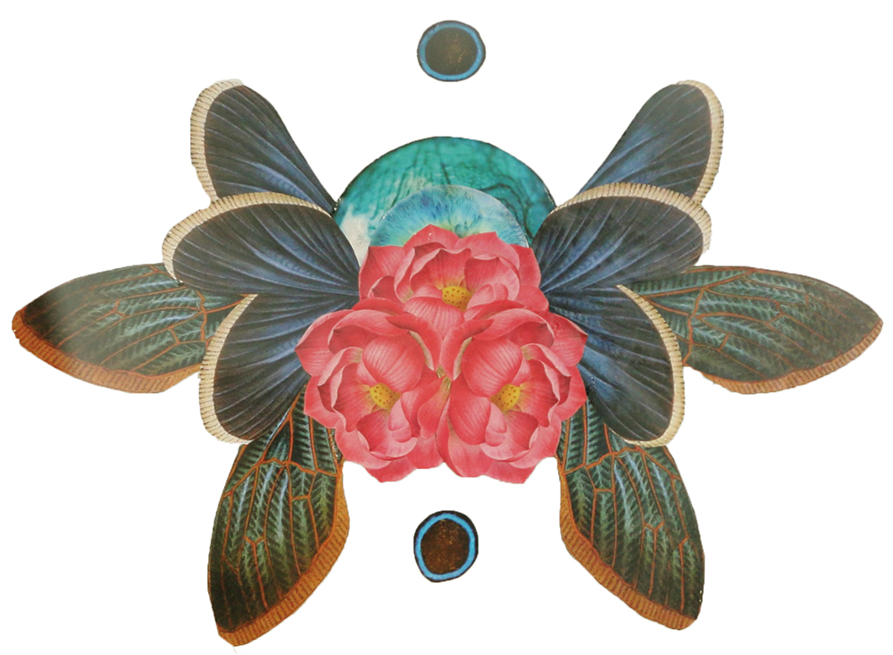 CollageOnGlass2_CLuciano.jpg