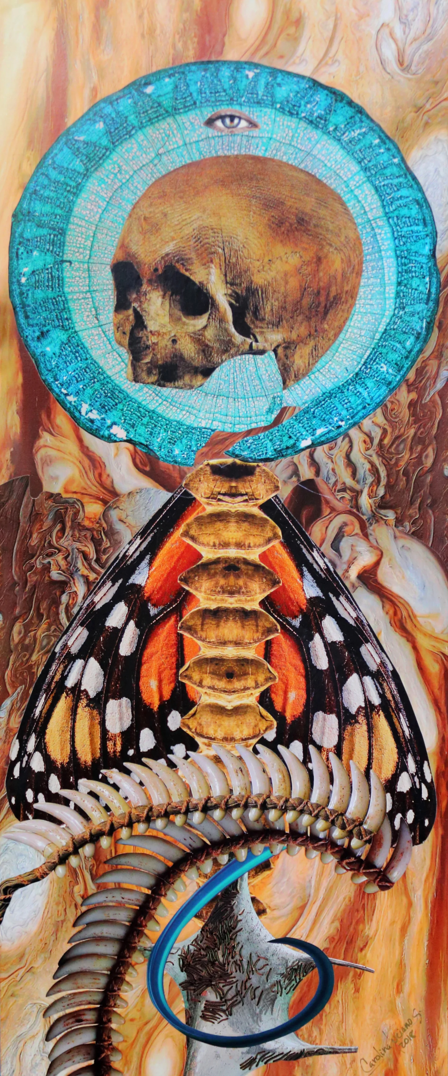 Metamorphosis