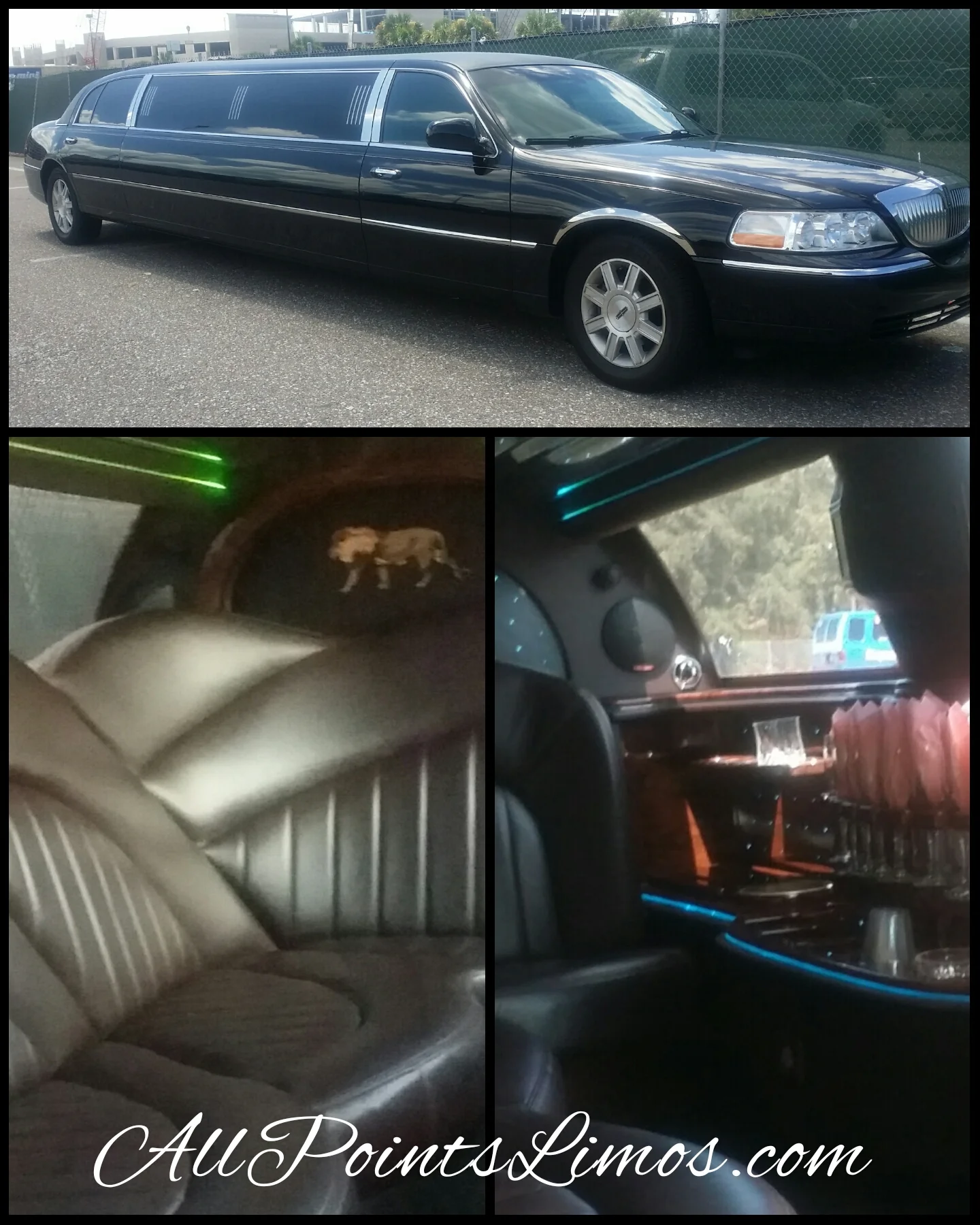 BLACK STRETCH LIMO ST PETE FL.jpg