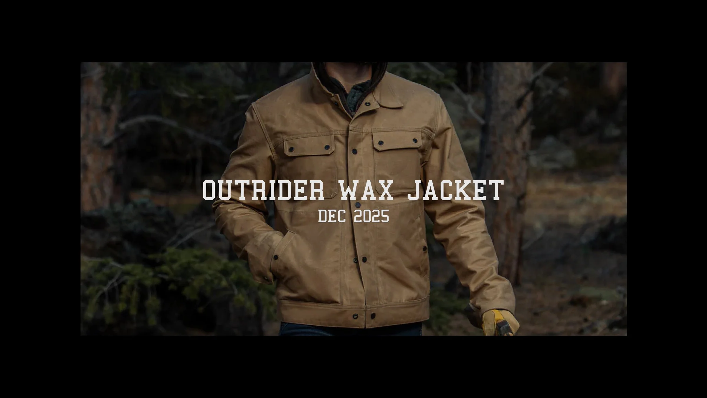 TAD Portfolio - 3.jpg