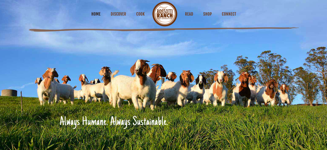 Rossotti Ranch Website