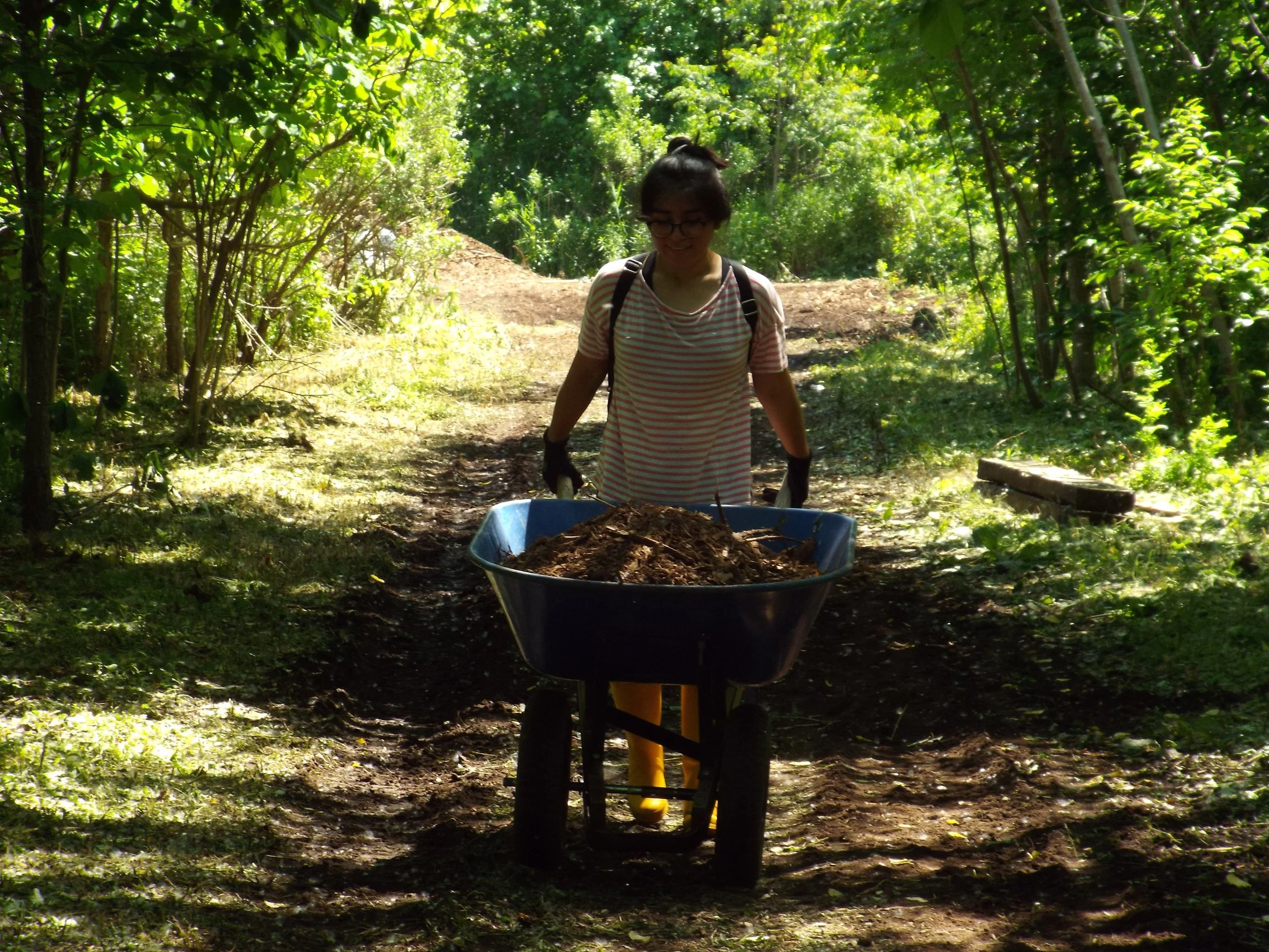 DSCF2490.JPG