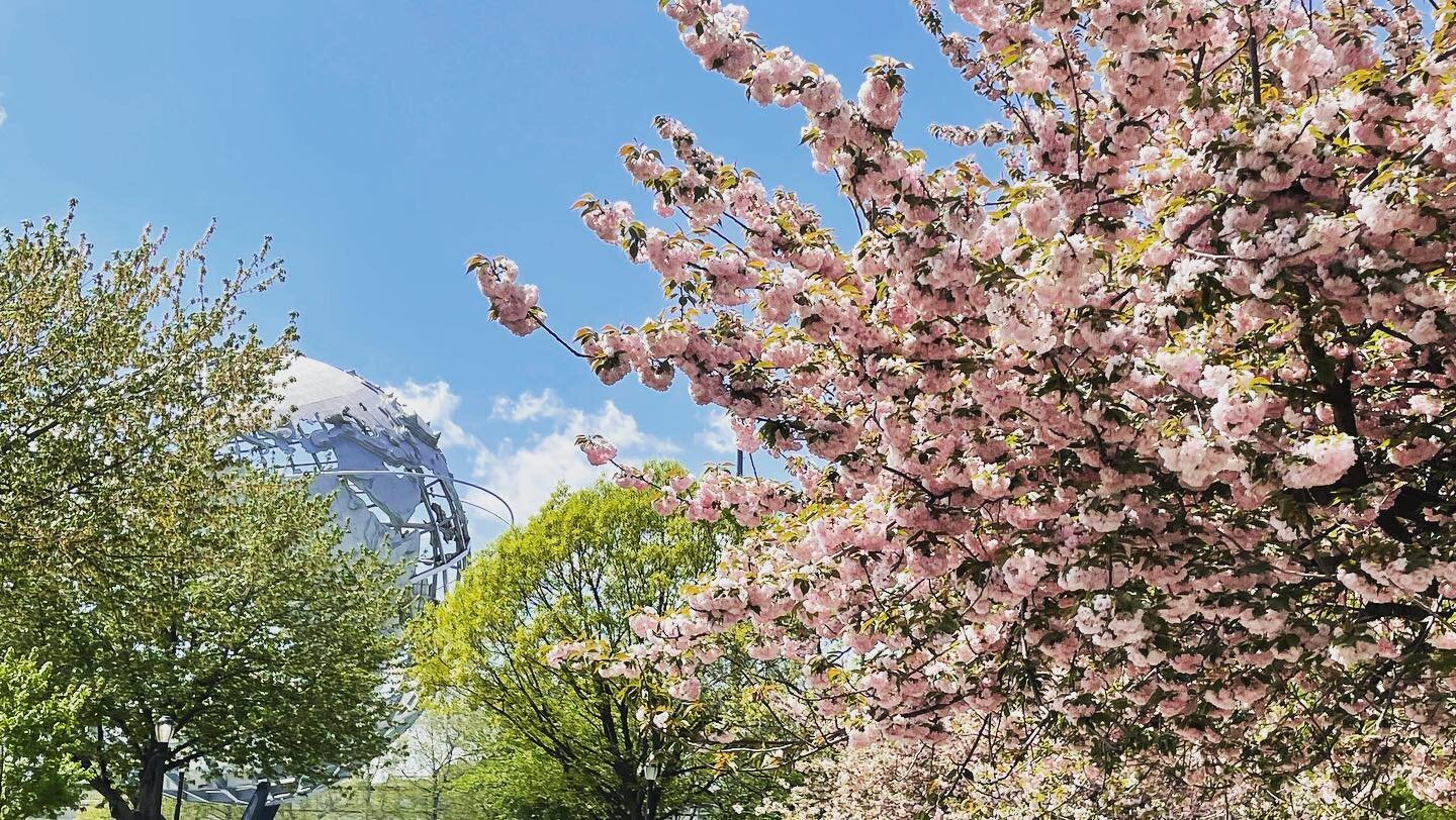 FMCP hosted the 18th Annual Sakura Matsuri Festival on Saturday. The annual event, planned by @jaanewyork celebrates our park&rsquo;s cherry blossoms and includes the planting of a new tree every year. This year&rsquo;s tree was planted in honor of T