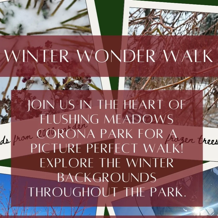CANCELED: Winter Wonder Walk: Natural Areas Appreciation Event